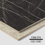 F206ST9-F221ST87.jpg